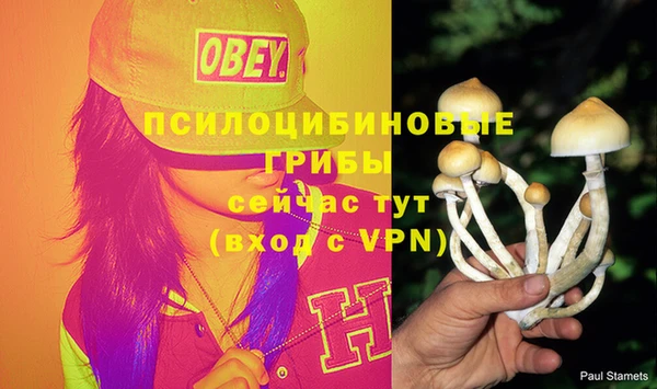 крисы Абдулино