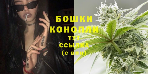 крисы Абдулино