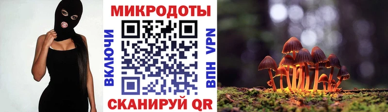 купить   Кимовск  Псилоцибиновые грибы прущие грибы 